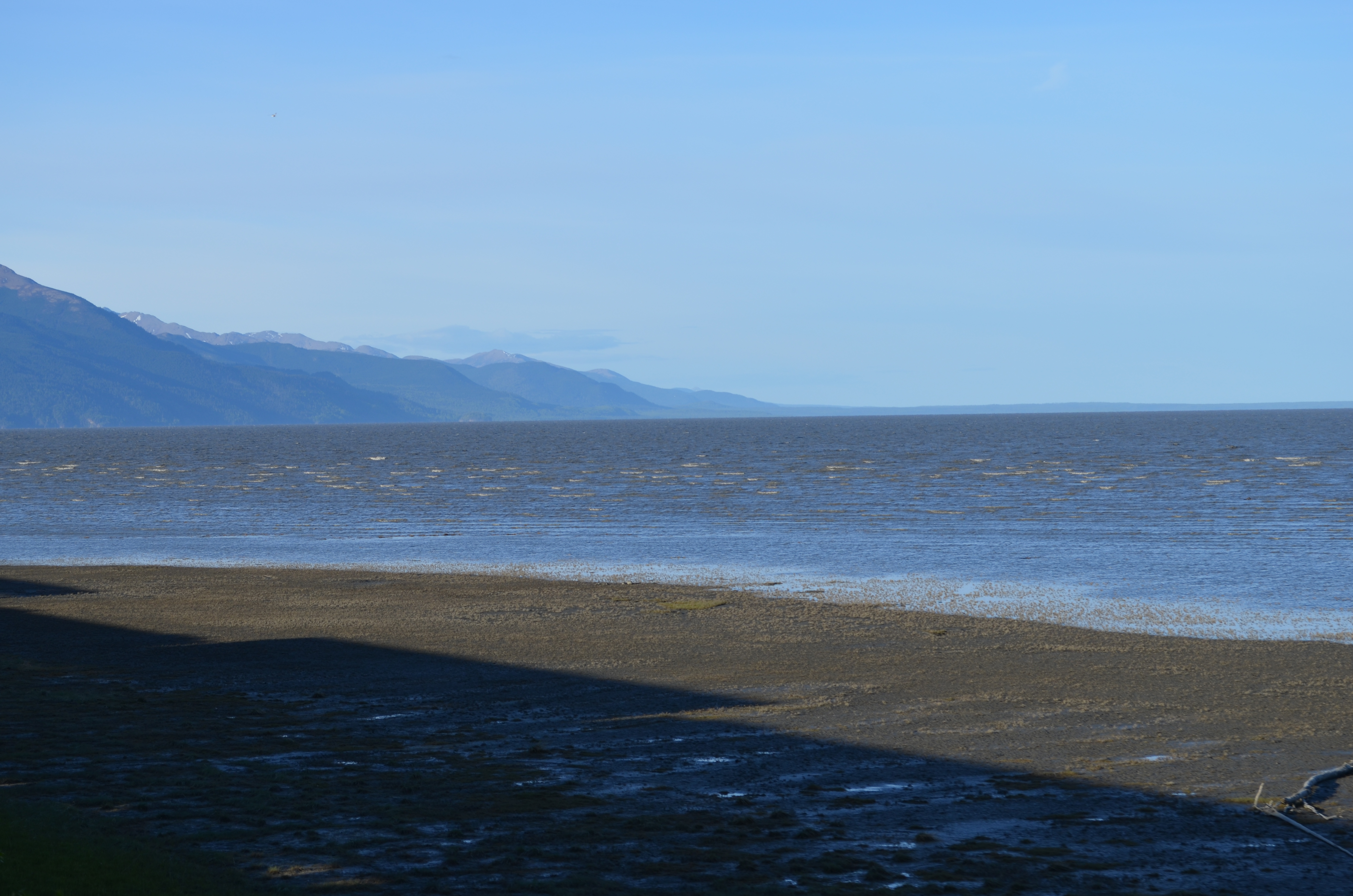 ./2017/08 - Alaska Cruise/05 - Train to Seward/DSC_0377.JPG